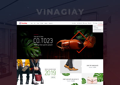 Vinagiay Ecommerce Website Developement